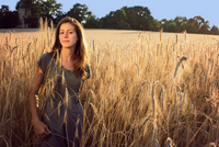 Sunset in the fields Sunset in the fields