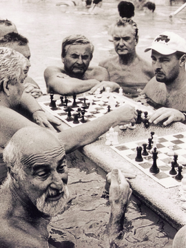 Chess Chess